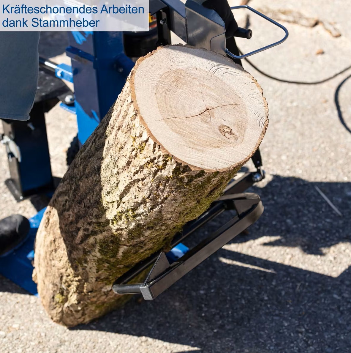 holzspalter stehend compact 10t scheppach 400v | 3500w | 10 tonnen | meterholzspalter | 1070mm spaltgutlänge | 380mm spaltdurchmesser holzspalter stehend compact 10t scheppach 400v | 3500w | 10 tonnen | meterholzspalter | 1070mm spaltgutlänge | 380mm spaltdurchmesser